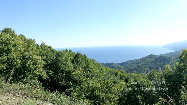 Το δάσος του Πολυδεντρίου στο Μαυροβούνιο