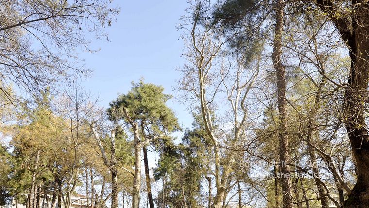 Καρδίτσα, η πόλη στην καρδιά της Ελλάδας και του Θεσσαλικού Κάμπου (Μέρος Δ)