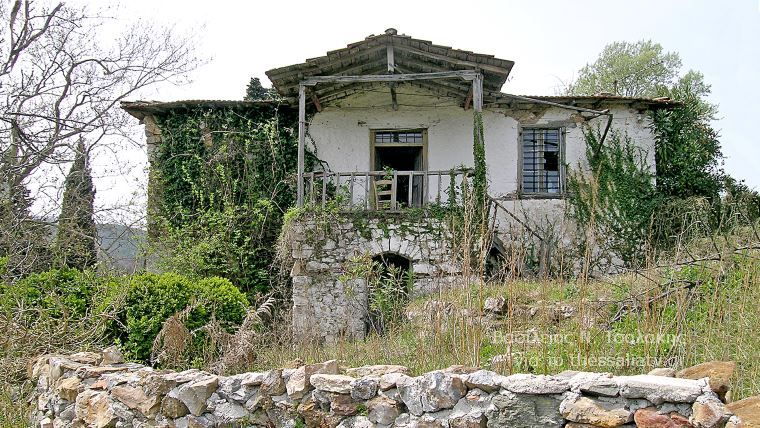 Το δάσος του Πολυδεντρίου στο Μαυροβούνιο