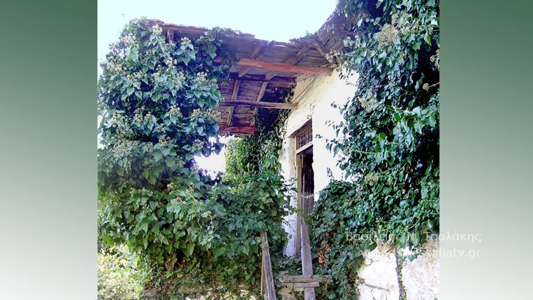 Το δάσος του Πολυδεντρίου στο Μαυροβούνιο
