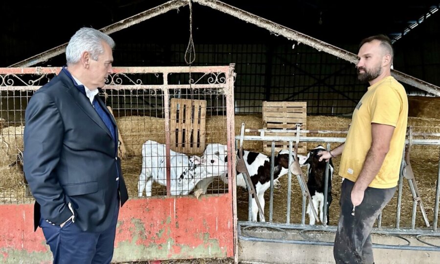 Χαρακόπουλος: Γιατί δεν πληρώνετε τις ενισχύσεις στους κτηνοτρόφους με ειδικά δικαιώματα; Χαρακόπουλος: Γιατί δεν πληρώνετε τις ενισχύσεις στους κτηνοτρόφους με ειδικά δικαιώματα;