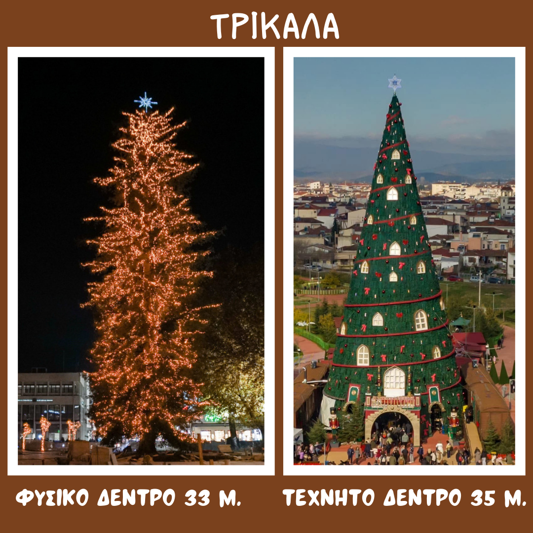 Στα Τρίκαλα τα δύο υψηλότερα χριστουγεννιάτικα δέντρα Στα Τρίκαλα τα δύο υψηλότερα χριστουγεννιάτικα δέντρα