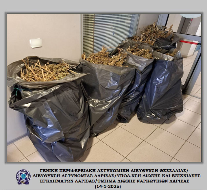 Είχε μεγάλη ποσότητα κάνναβης σε αποθήκη σε περιοχή του Τυρνάβου και συνελήφθη (ΦΩΤΟ) Είχε μεγάλη ποσότητα κάνναβης σε αποθήκη σε περιοχή του Τυρνάβου και συνελήφθη (ΦΩΤΟ)