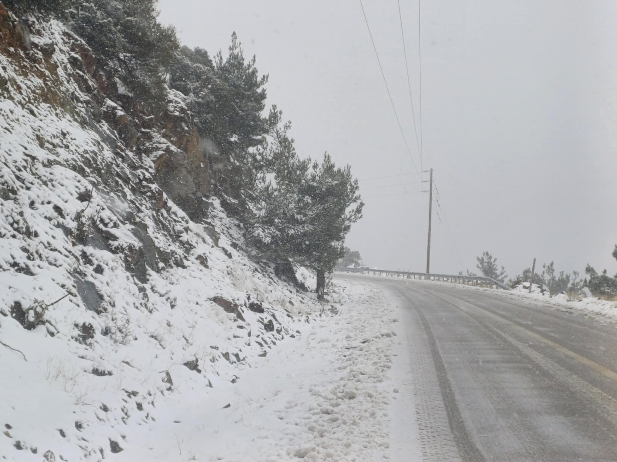 Κατέβηκε χαμηλά το χιόνι στον Κίσσαβο λίγο πάνω από το Συκούριο- σφοδρή χιονόπτωση (ΦΩΤΟ +video) Κατέβηκε χαμηλά το χιόνι στον Κίσσαβο λίγο πάνω από το Συκούριο- σφοδρή χιονόπτωση (ΦΩΤΟ +video)