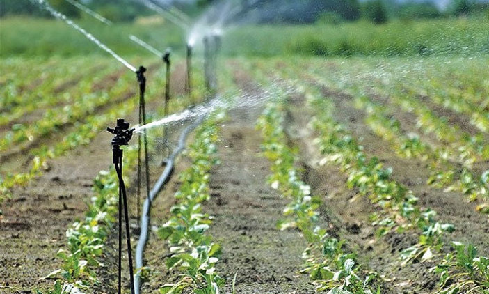 Αύξηση του περιβαλλοντικού μπόνους για τους βαμβακοκαλλιεργητές επιδιώκει το ΥΠΑΑΤ Αύξηση του περιβαλλοντικού μπόνους για τους βαμβακοκαλλιεργητές επιδιώκει το ΥΠΑΑΤ