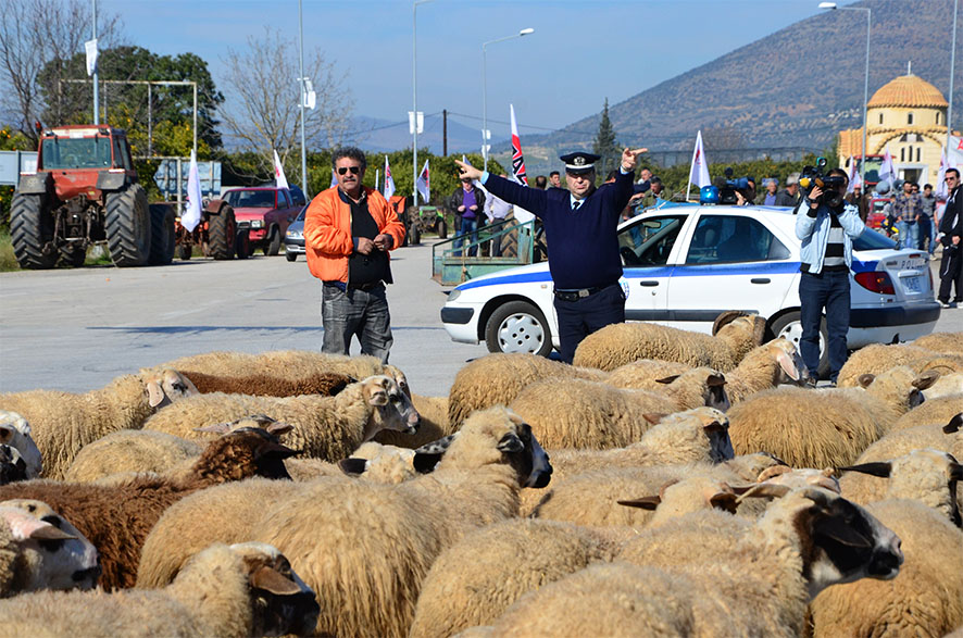 Η κυβέρνηση μας εξαναγκάζει να αφήνουμε τα ζώα μας και να βγούμε στον δρόμο Η κυβέρνηση μας εξαναγκάζει να αφήνουμε τα ζώα μας και να βγούμε στον δρόμο