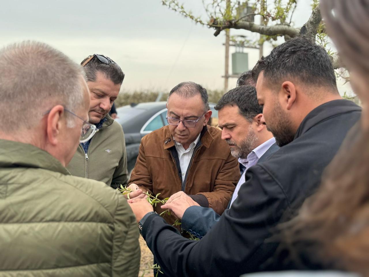 Μεγάλη η έκταση της ζημιάς στις δενδρώδεις λόγω του 48ωρου παγετού, εξετάζεται η προκαταβολή αποζημίωσης