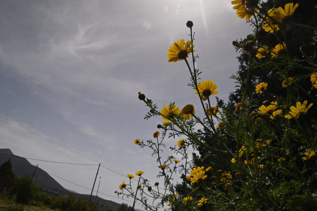 Καιρός: Συννεφιά με αφρικανική σκόνη – Πού θα βρέξει Καιρός: Συννεφιά με αφρικανική σκόνη – Πού θα βρέξει