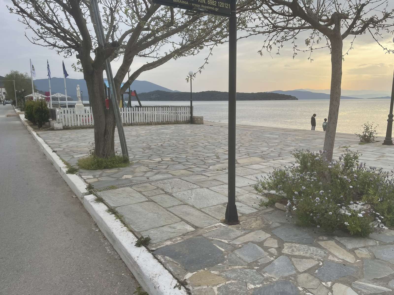 Με πανό στην πόρτα της Κτηματικής επαγγελματίες από το μέτωπο του Παγασητικού Με πανό στην πόρτα της Κτηματικής επαγγελματίες από το μέτωπο του Παγασητικού
