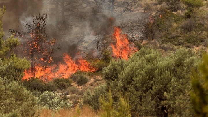 Καιρός: Ισχυροί άνεμοι και απουσία βροχών αυξάνουν τον κίνδυνο πυρκαγιάς