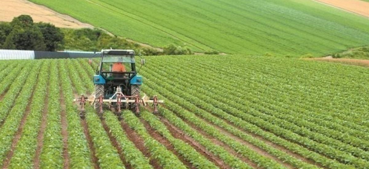 Μέχρι την Τρίτη οι αιτήσεις για ένταξη στο Μέτρο 23 – Το ύψος ενίσχυσης και οι δικαιούχοι Μέχρι την Τρίτη οι αιτήσεις για ένταξη στο Μέτρο 23 – Το ύψος ενίσχυσης και οι δικαιούχοι