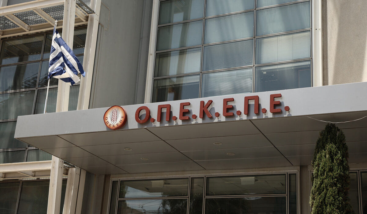 Πρόστιμο 415 εκατ. λόγω απουσίας Κτηματολογίου, Δασικών και Βοσκοτοπικών Χαρτών, λέει ο ΟΠΕΚΕΠΕ