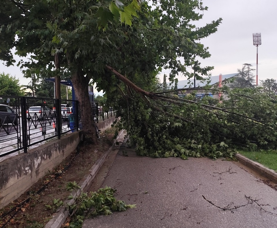 Στο σκοτάδι ο Αγιος Θωμάς στη Λάρισα- Δέντρο έπεσε στον υποσταθμό στη συνοικία Στο σκοτάδι ο Αγιος Θωμάς στη Λάρισα- Δέντρο έπεσε στον υποσταθμό στη συνοικία