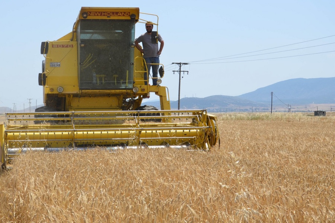 Θεσσαλικό κριθάρι και σιτάρι: Ρεκόρ οι φετινές στρεμματικές αποδόσεις, στον πάτο οι τιμές Θεσσαλικό κριθάρι και σιτάρι: Ρεκόρ οι φετινές στρεμματικές αποδόσεις, στον πάτο οι τιμές