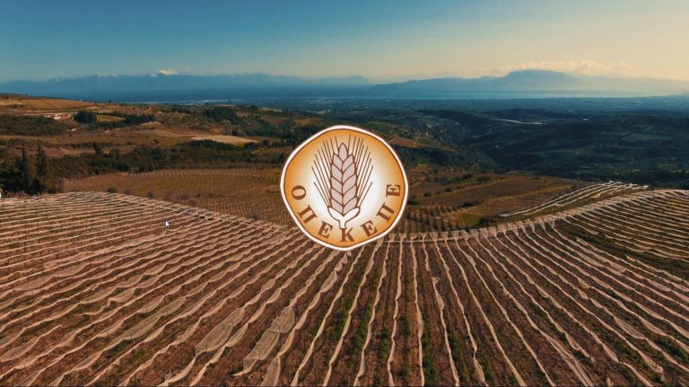 Πώς άνοιξε η κερκόπορτα για το «πάρτι» στον ΟΠΕΚΕΠΕ: Η «τεχνική λύση», η απόφαση Βορίδη και οι πιέσεις Αυγενάκη Πώς άνοιξε η κερκόπορτα για το «πάρτι» στον ΟΠΕΚΕΠΕ: Η «τεχνική λύση», η απόφαση Βορίδη και οι πιέσεις Αυγενάκη