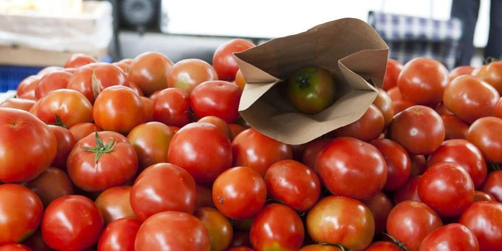 Τρώγοντας ντομάτες κάθε μέρα: Αυτές είναι οι συνέπειες Τρώγοντας ντομάτες κάθε μέρα: Αυτές είναι οι συνέπειες