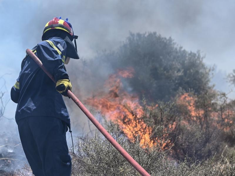 Λάρισα: Φωτιά στον κόμβο Συκουρίου – από τον καπνό ΙΧ προσέκρουσε σε όχημα Πυροσβεστικής- 2 τραυματίες Λάρισα: Φωτιά στον κόμβο Συκουρίου – από τον καπνό ΙΧ προσέκρουσε σε όχημα Πυροσβεστικής- 2 τραυματίες