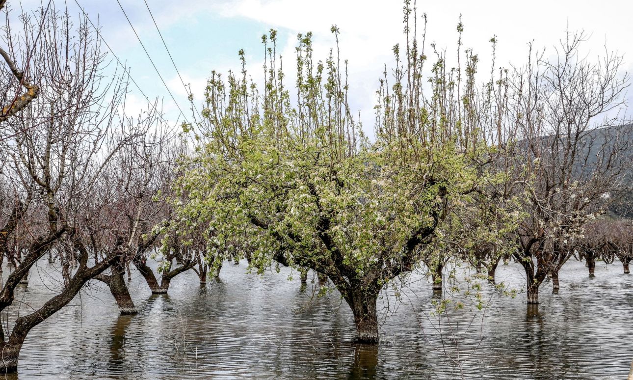 Υπογραφεται η ΚΥΑ για τα 13 εκατ. ευρώ για φερτά υλικά , απομένει το φυτικό κεφάλαιο 65 εκατ. ευρώ (video) Υπογραφεται η ΚΥΑ για τα 13 εκατ. ευρώ για φερτά υλικά , απομένει το φυτικό κεφάλαιο 65 εκατ. ευρώ (video)