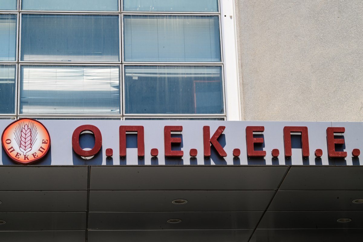 ΟΠΕΚΕΠΕ: Πώς στήθηκε το μεγάλο κόλπο – H χαρτογράφηση του σκανδάλου ΟΠΕΚΕΠΕ: Πώς στήθηκε το μεγάλο κόλπο – H χαρτογράφηση του σκανδάλου