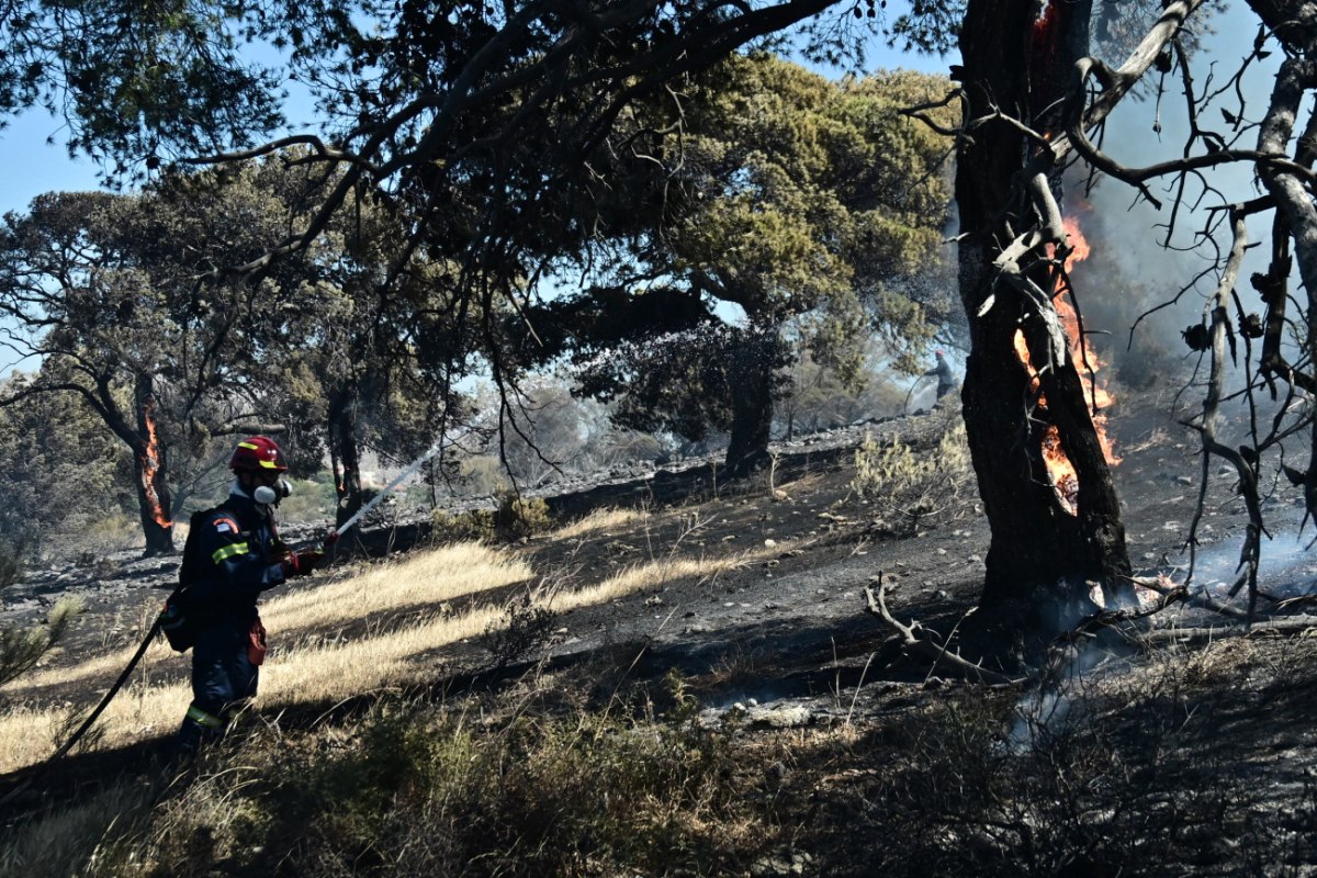 Κορωπί: Κάηκαν σπίτια – Απομακρύνθηκαν κάτοικοι, μάχη με τις αναζωπυρώσεις