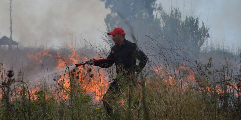 Πολύ υψηλός κίνδυνος για φωτιά στη Θεσσαλία-Η πυροσβεστική απευθύνει έκκληση Πολύ υψηλός κίνδυνος για φωτιά στη Θεσσαλία-Η πυροσβεστική απευθύνει έκκληση