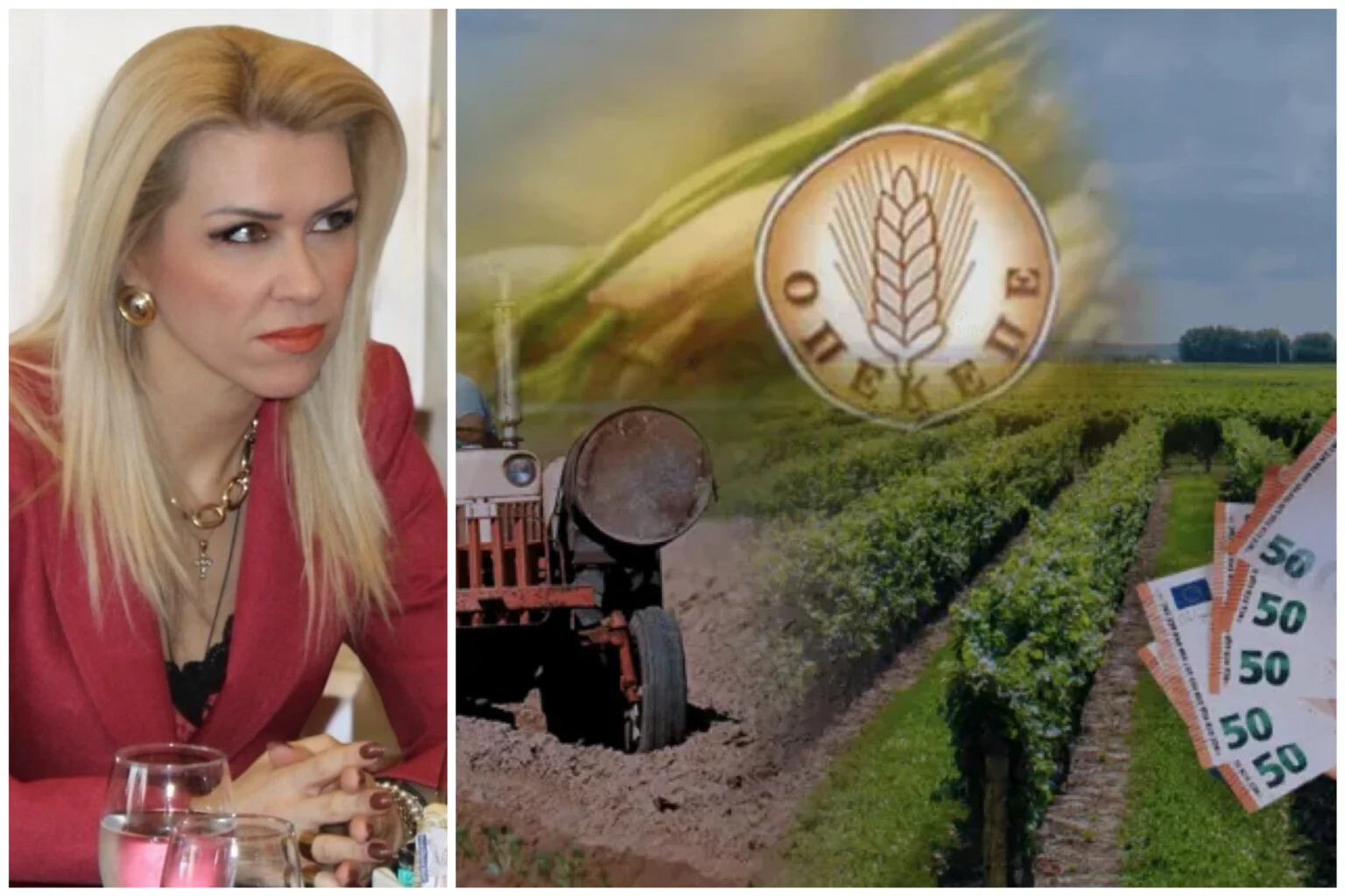 Λίνα Τουπεκτσή για υπόθεση ΟΠΕΚΕΠΕ: Η γενίκευση δεν οδηγεί στη λύση Λίνα Τουπεκτσή για υπόθεση ΟΠΕΚΕΠΕ: Η γενίκευση δεν οδηγεί στη λύση