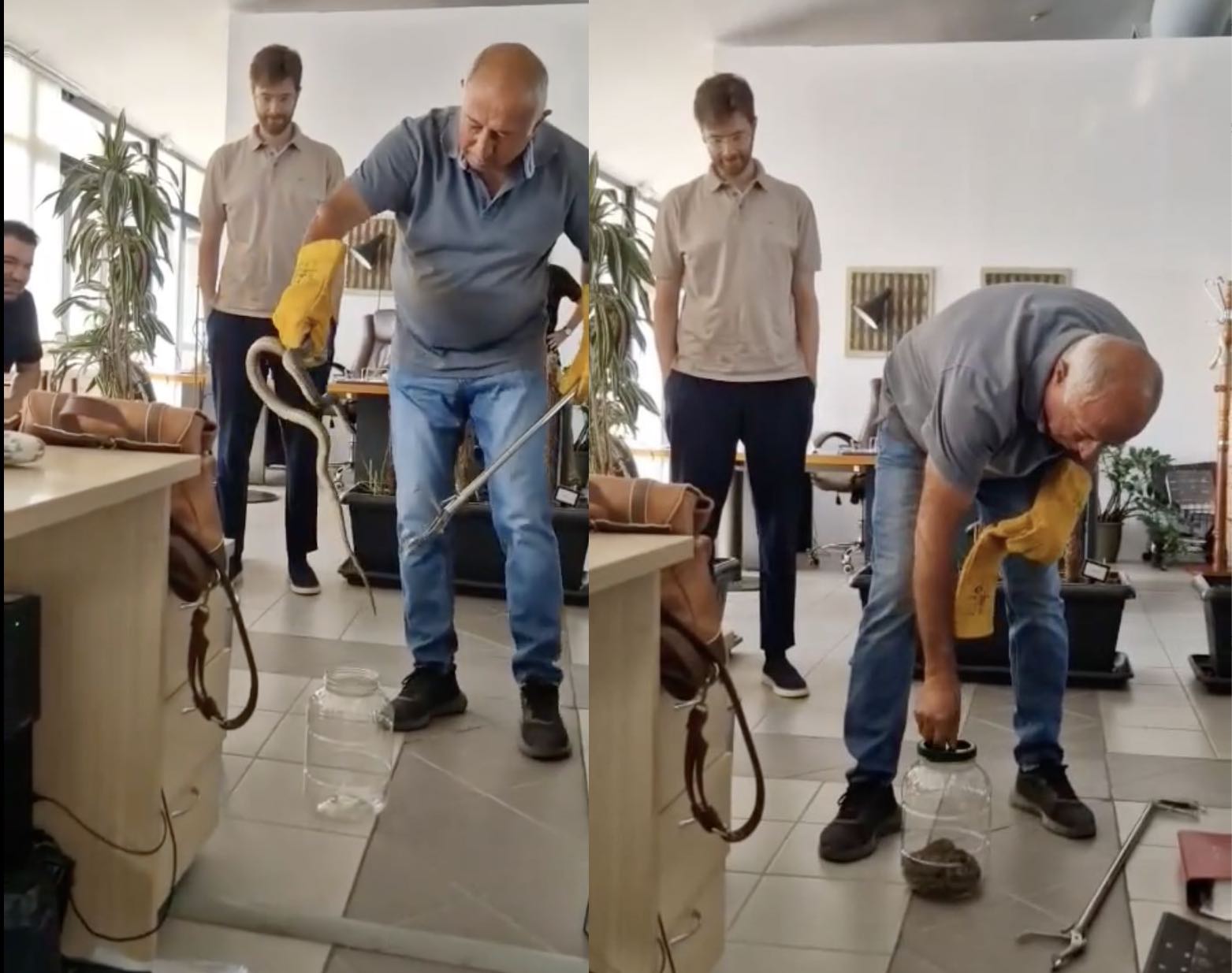 Αναστάτωση στον Βόλο – Φίδι εντοπίστηκε μέσα σε γραφείο επιχείρησης! Αναστάτωση στον Βόλο – Φίδι εντοπίστηκε μέσα σε γραφείο επιχείρησης!