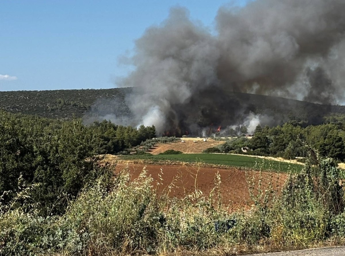 Φωτιά στο Ασπροχώρι Ωρωπού: Σηκώθηκαν 19 εναέρια, ήχησε 112 -«Απομακρυνθείτε προς Εθνική Οδό Αθηνών-Λαμίας» Φωτιά στο Ασπροχώρι Ωρωπού: Σηκώθηκαν 19 εναέρια, ήχησε 112 -«Απομακρυνθείτε προς Εθνική Οδό Αθηνών-Λαμίας»