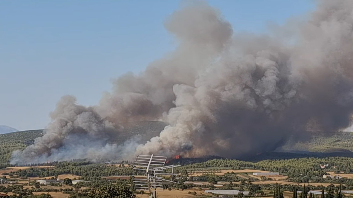 Μεγάλη φωτιά στον Ωρωπό - Εκκενώνεται το Ασπροχώρι - «Καίει παρθένο δάσος, υπάρχει φόβος για τα σπίτια» λέει ο δήμαρχος Μεγάλη φωτιά στον Ωρωπό - Εκκενώνεται το Ασπροχώρι - «Καίει παρθένο δάσος, υπάρχει φόβος για τα σπίτια» λέει ο δήμαρχος