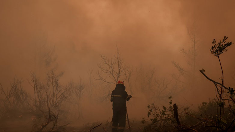 Φωτιά στην περιοχή Κοκκίνω Φαρσάλων -Μήνυμα του 112 για εκκένωση προς Δενδροχώρι