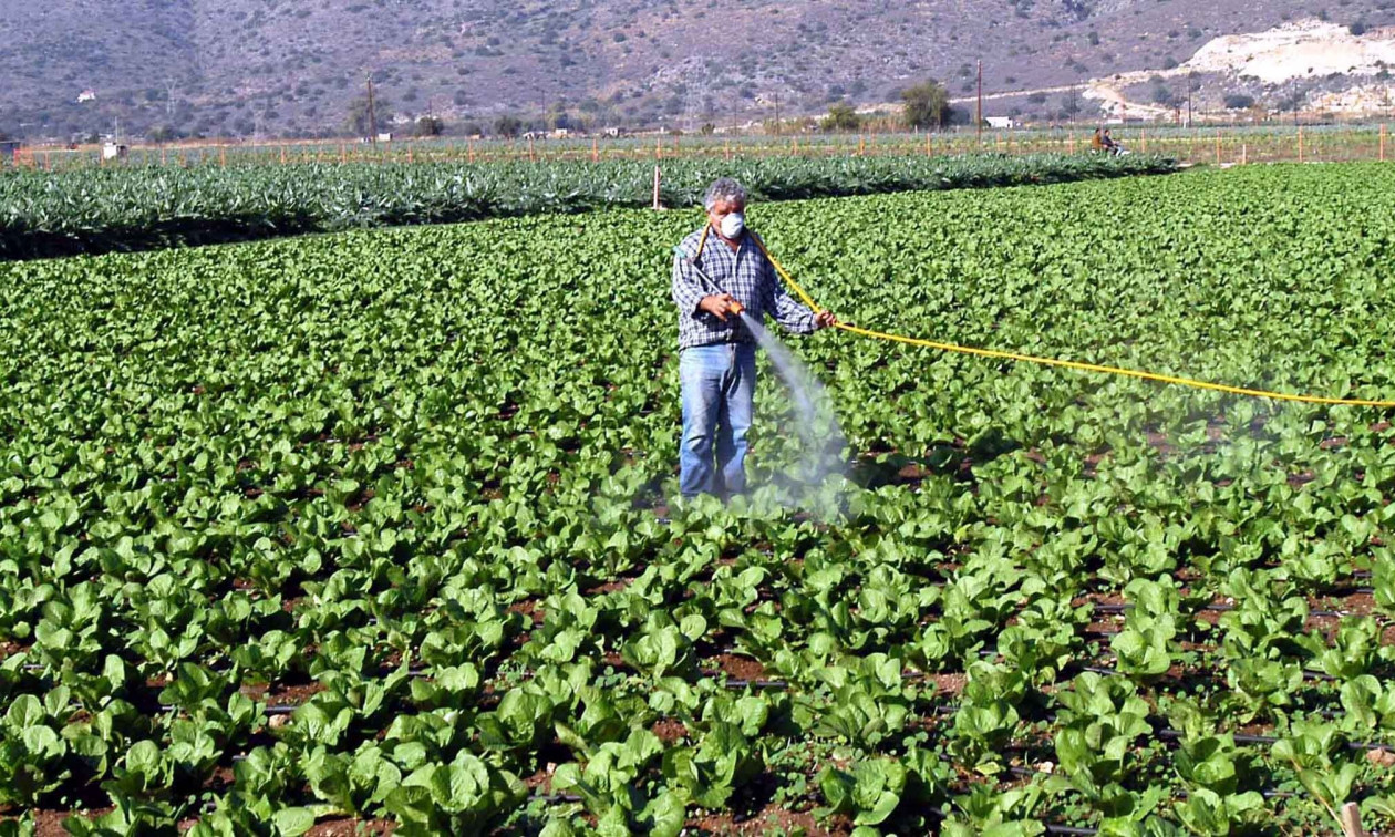 Η «μαφία» των κινεζικών φυτοφαρμάκων στη Θεσσαλία – Οι παράνομες διαδρομές και ο «Βούλγαρος» Η «μαφία» των κινεζικών φυτοφαρμάκων στη Θεσσαλία – Οι παράνομες διαδρομές και ο «Βούλγαρος»