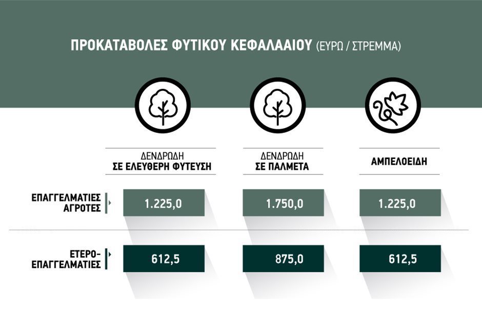 Με νέα ΚΥΑ θα πληρωθεί Φυτικό Κεφάλαιο Daniel πίεση για πίστωση Ιούλιο Με νέα ΚΥΑ θα πληρωθεί Φυτικό Κεφάλαιο Daniel πίεση για πίστωση Ιούλιο