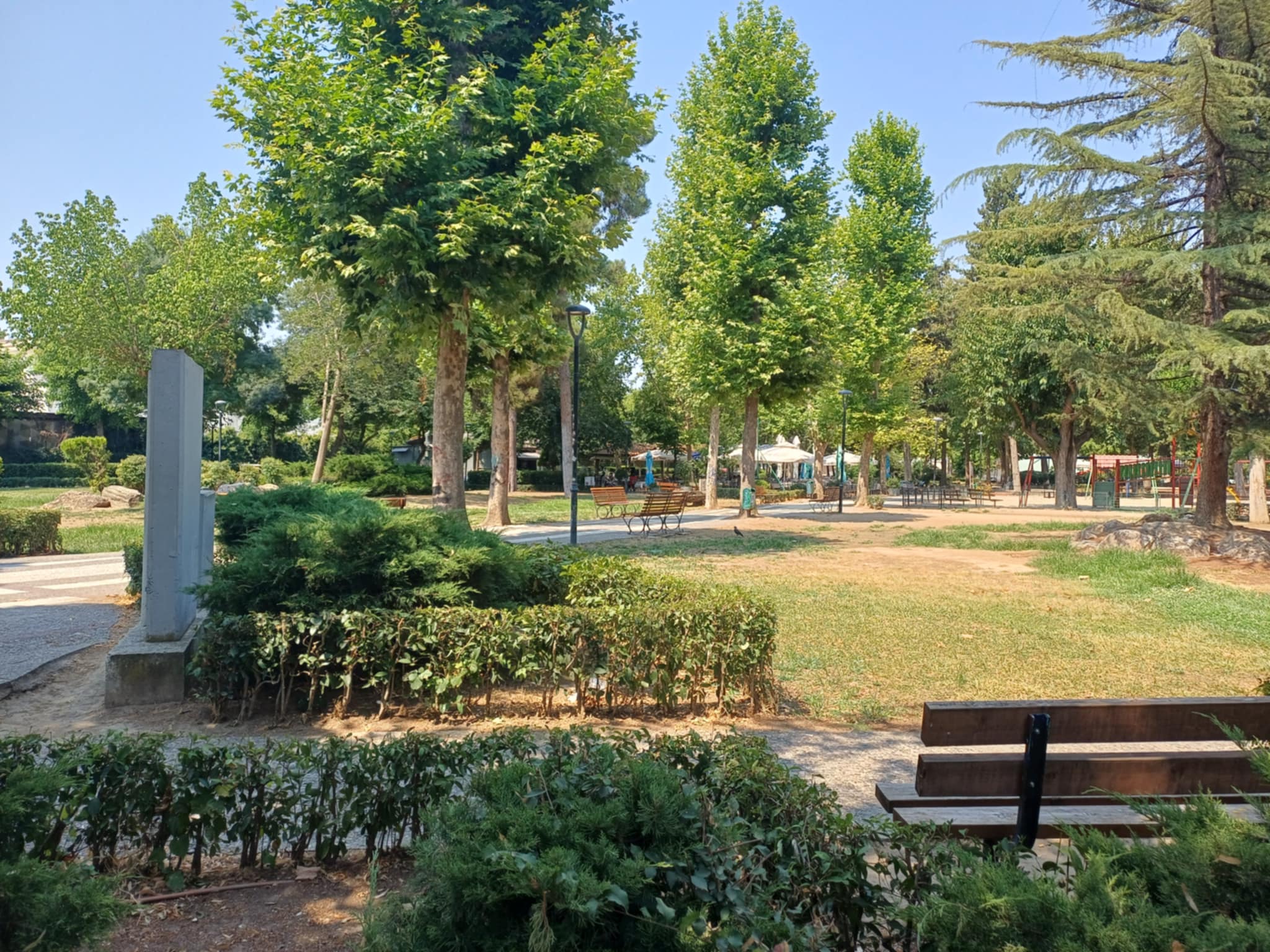 Λάρισα: Αγανάκτηση και οργή από τις μαζικές δηλητηριάσεις ζώων στον Άγιο Αντώνιο (ΦΩΤΟ-ΒΙΝΤΕΟ)