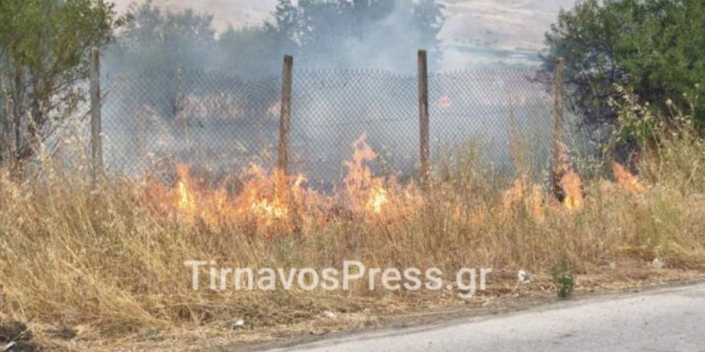 Φωτιά κοντά σε σπίτια στον Τύρναβο -Η Πυροσβεστική την έθεσε άμεσε υπό έλεγχο [βίντεο]