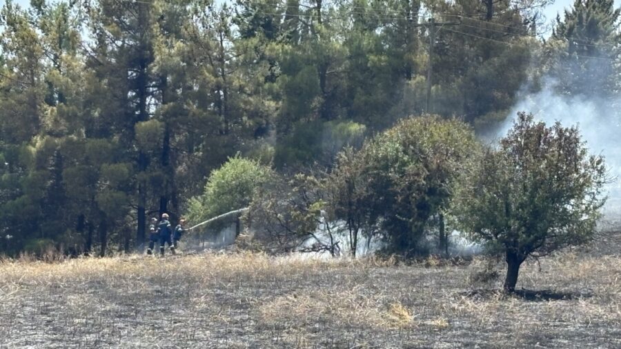 Φωτιά στο άλσος των Άνω Χαλκιάδων Φαρσάλων – (βίντεο) Φωτιά στο άλσος των Άνω Χαλκιάδων Φαρσάλων – (βίντεο)