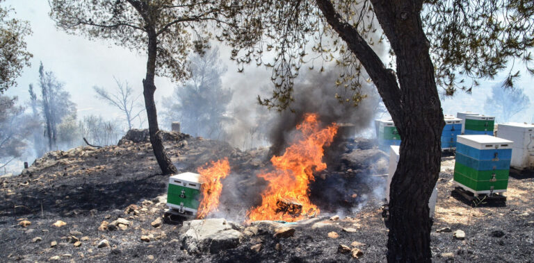 Μαγνησία: Ενημέρωση προς αγρότες, κτηνοτρόφους και μελισσοκόμους για πρόληψη πυρκαγιών κατά την περίοδο υψηλών θερμοκρασιών Μαγνησία: Ενημέρωση προς αγρότες, κτηνοτρόφους και μελισσοκόμους για πρόληψη πυρκαγιών κατά την περίοδο υψηλών θερμοκρασιών