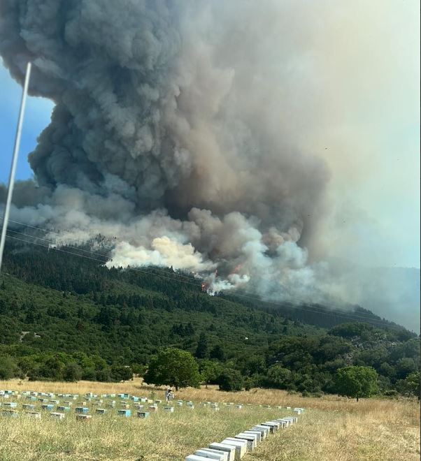 Νέα αναζωπύρωση στη φωτιά στον Φενεό Κορινθίας – Προς εκκένωση τρία χωριά Νέα αναζωπύρωση στη φωτιά στον Φενεό Κορινθίας – Προς εκκένωση τρία χωριά