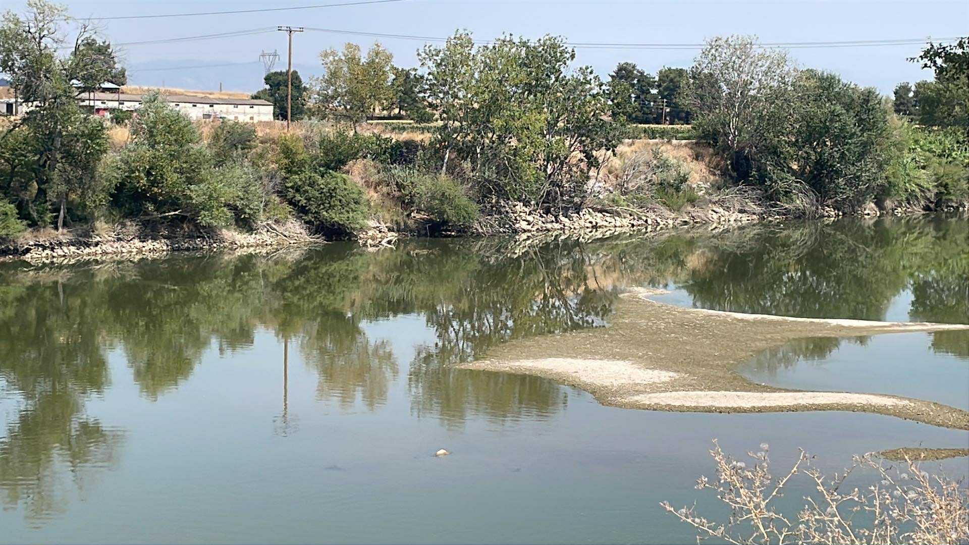 Μη αναστρέψιμη η ζημιά στα βαμβάκια λόγω έλλειψης νερού - αποκαρδιωτικές εικόνες στον Πηνειό έξω από τη Λάρισα (ΦΩΤΟ) Μη αναστρέψιμη η ζημιά στα βαμβάκια λόγω έλλειψης νερού - αποκαρδιωτικές εικόνες στον Πηνειό έξω από τη Λάρισα (ΦΩΤΟ)