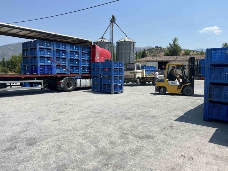 Διαμαρτυρίες για χαμηλές τιμές στα ροδάκινα από παραγωγούς του Μακρυχωρίου