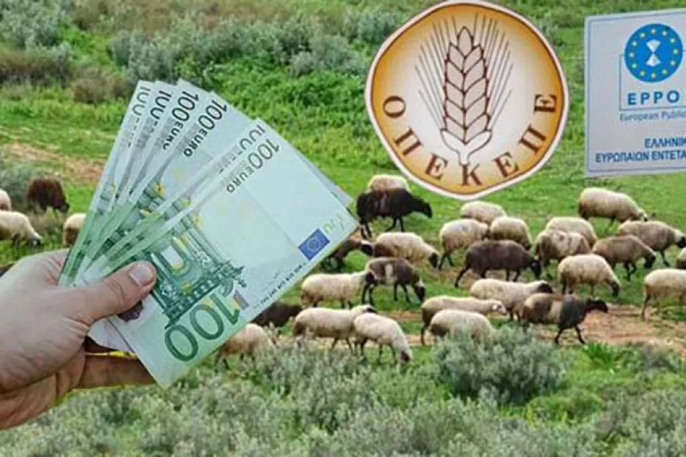 Στο αρχείο απάτη σε βάρος του ΟΠΕΚΕΠΕ με εμπλοκή Λαρισαίων Στο αρχείο απάτη σε βάρος του ΟΠΕΚΕΠΕ με εμπλοκή Λαρισαίων