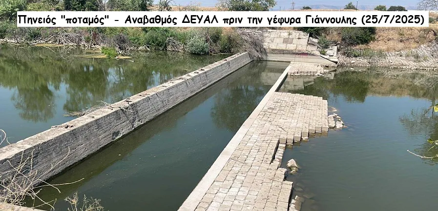 «Κρείττον του λαλείν το σιγάν»