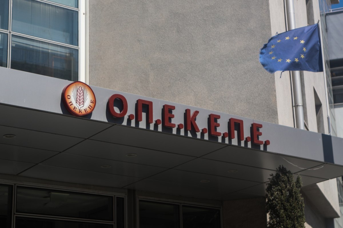 Ποινές φυλάκισης από 9 έως 15 μήνες στους επτά κατηγορούμενους για τον ΟΠΕΚΕΠΕ Ποινές φυλάκισης από 9 έως 15 μήνες στους επτά κατηγορούμενους για τον ΟΠΕΚΕΠΕ