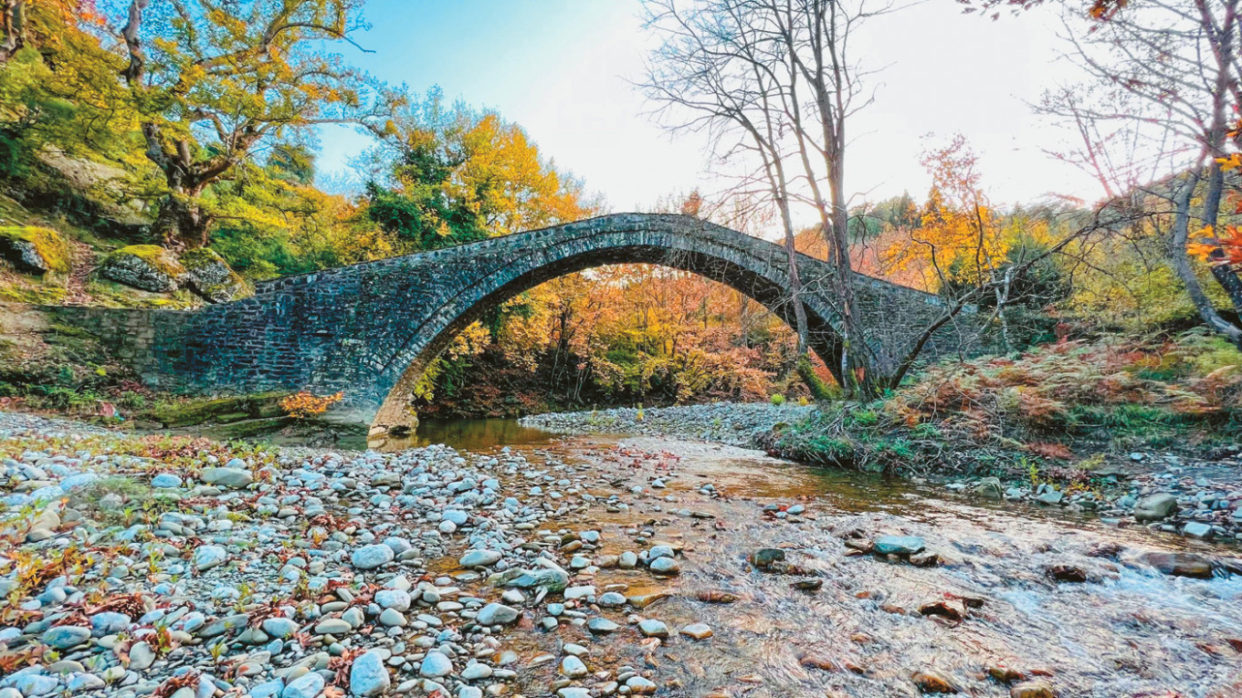 Πρωτοποριακή έρευνα στα Ιωάννινα για τη σωτηρία των πλατάνων - SOS εκπέμπουν τα ελληνικά δάση Πρωτοποριακή έρευνα στα Ιωάννινα για τη σωτηρία των πλατάνων - SOS εκπέμπουν τα ελληνικά δάση