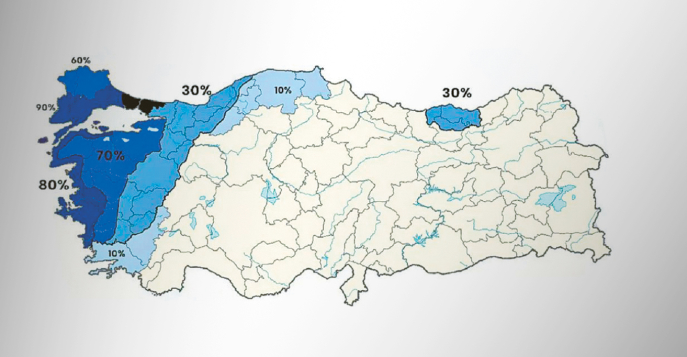Η ελληνική καταγωγή στο DNA των Τούρκων. Τι δείχνουν τα τεστ και οι αντιδράσεις στα social media Η ελληνική καταγωγή στο DNA των Τούρκων. Τι δείχνουν τα τεστ και οι αντιδράσεις στα social media