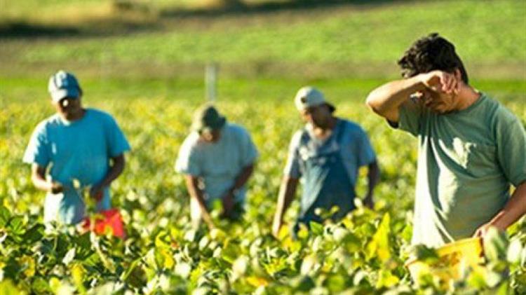 Η Ελλάδα χωρίς «χέρια»: Οξύ το πρόβλημα εργατών γης για τον αγροτικό τομέα