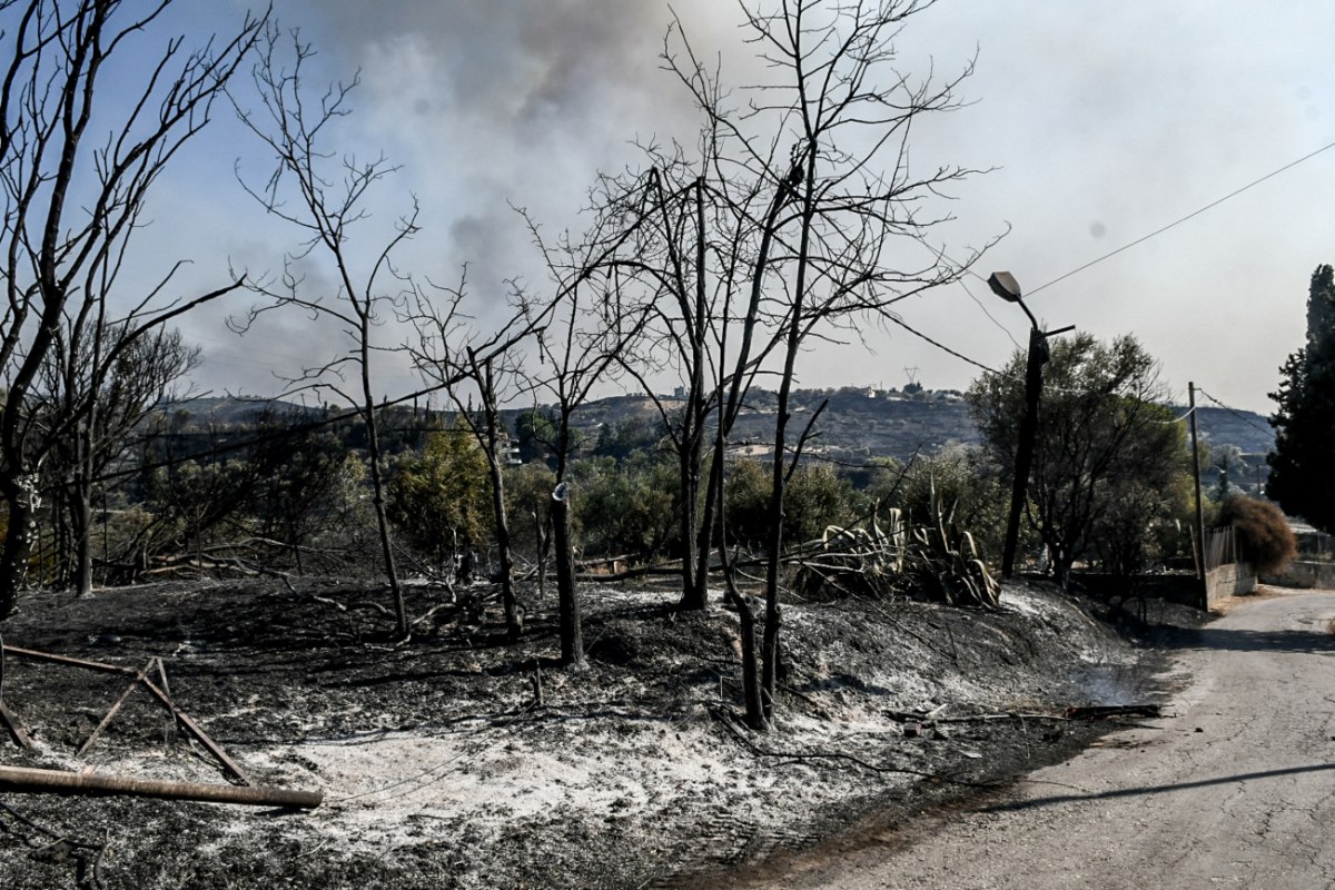 Ομολόγησε 19χρονος για εμπρησμό στα Συχαινά της Πάτρας - Τρεις συλλήψεις και μια προσαγωγή για τις φωτιές στην Αχαΐα