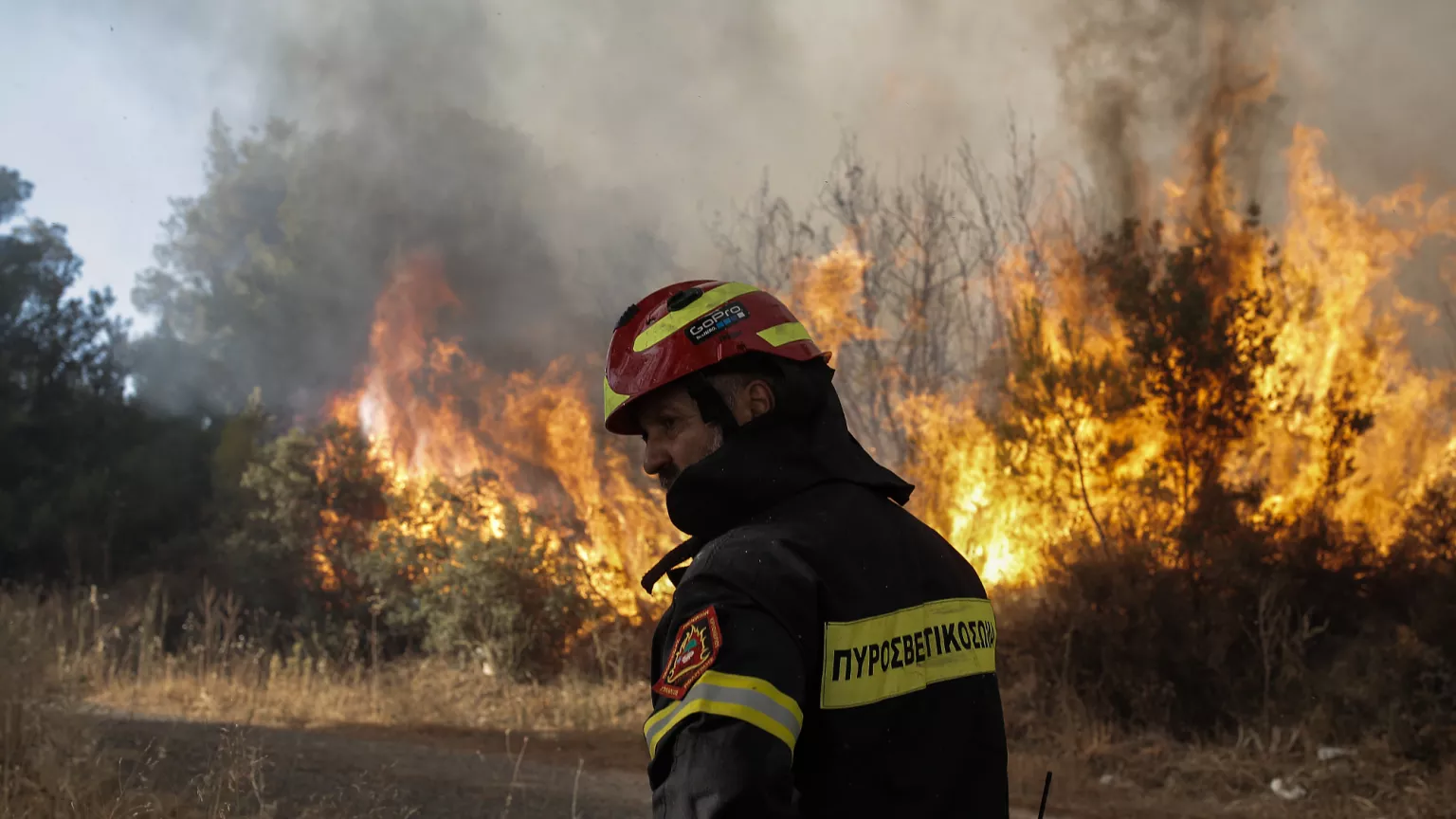 Φωτιά στον Τύρναβο στη θέση Αμύγδαλο – Μεγάλη κινητοποίηση της πυροσβεστικής
