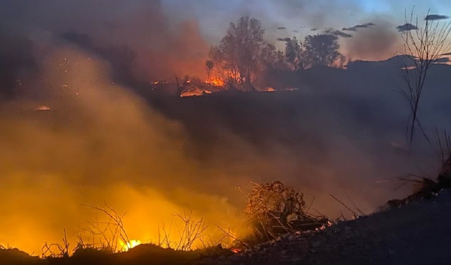 Καίει όλη νύχτα η πυρκαγιά που ξέσπασε στο Δαμάσι. Από κεραυνό ξεκίνησε η φωτιά(ΦΩΤΟ+video) Καίει όλη νύχτα η πυρκαγιά που ξέσπασε στο Δαμάσι. Από κεραυνό ξεκίνησε η φωτιά(ΦΩΤΟ+video)