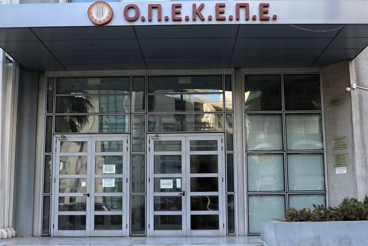 Έρευνες για τον ΟΠΕΚΕΠΕ σε 600.000 ΑΦΜ– Στο μικροσκόπιο συγγενείς υπουργών Έρευνες για τον ΟΠΕΚΕΠΕ σε 600.000 ΑΦΜ– Στο μικροσκόπιο συγγενείς υπουργών