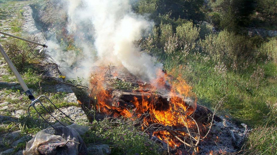 Πάνω από 50.000 ευρώ τα πρόστιμα για καύση στην αντιπυρική περίοδο στη Θεσσαλία